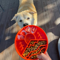 SodaPup Great Outdoors Slow Feeder Bowl Green-Four Muddy Paws