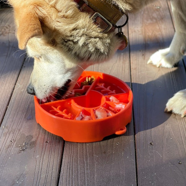 SodaPup Great Outdoors Slow Feeder Bowl Orange-Four Muddy Paws