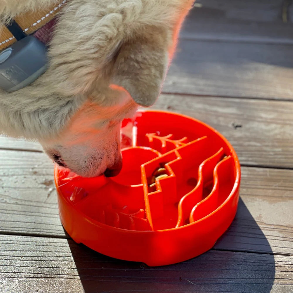 SodaPup - Wave Design eBowl Enrichment Slow Feeder Bowl for Dogs
