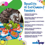 SodaPup eTray Enrichment Tray Mandala Green-Four Muddy Paws