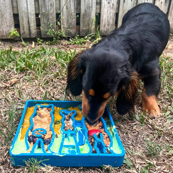 SodaPup eTray Enrichment Waiting Dogs Tray Blue-Four Muddy Paws