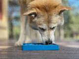SodaPup eTray Enrichment Waiting Dogs Tray Blue-Four Muddy Paws