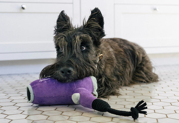 Splish Splash Howlin' Hair Dryer Dog Toy-Four Muddy Paws