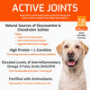 SquarePet VFS Active Joints Formula Dog Food 4.4lbs-Four Muddy Paws