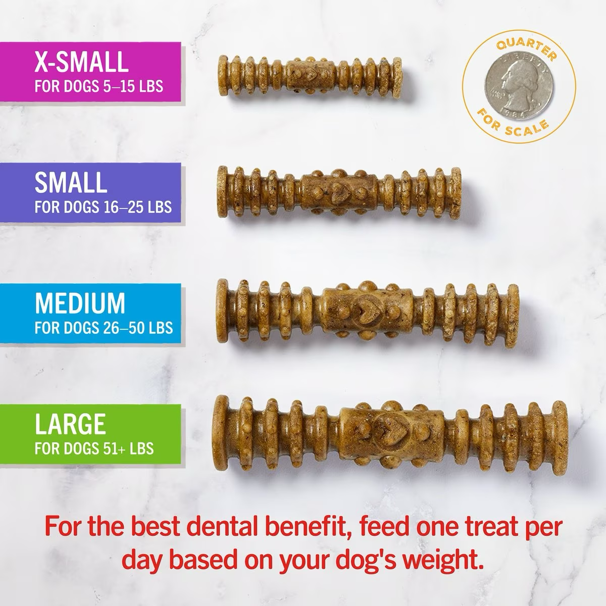 Stella & Chewy's Dental Delights Large 23.2oz-Four Muddy Paws