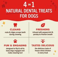 Stella & Chewy's Dental Delights Small 10.5oz-Four Muddy Paws