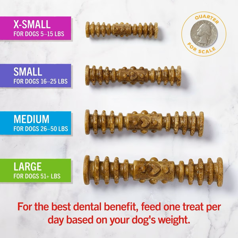 Stella & Chewy's Dental Delights Small 10.5oz-Four Muddy Paws