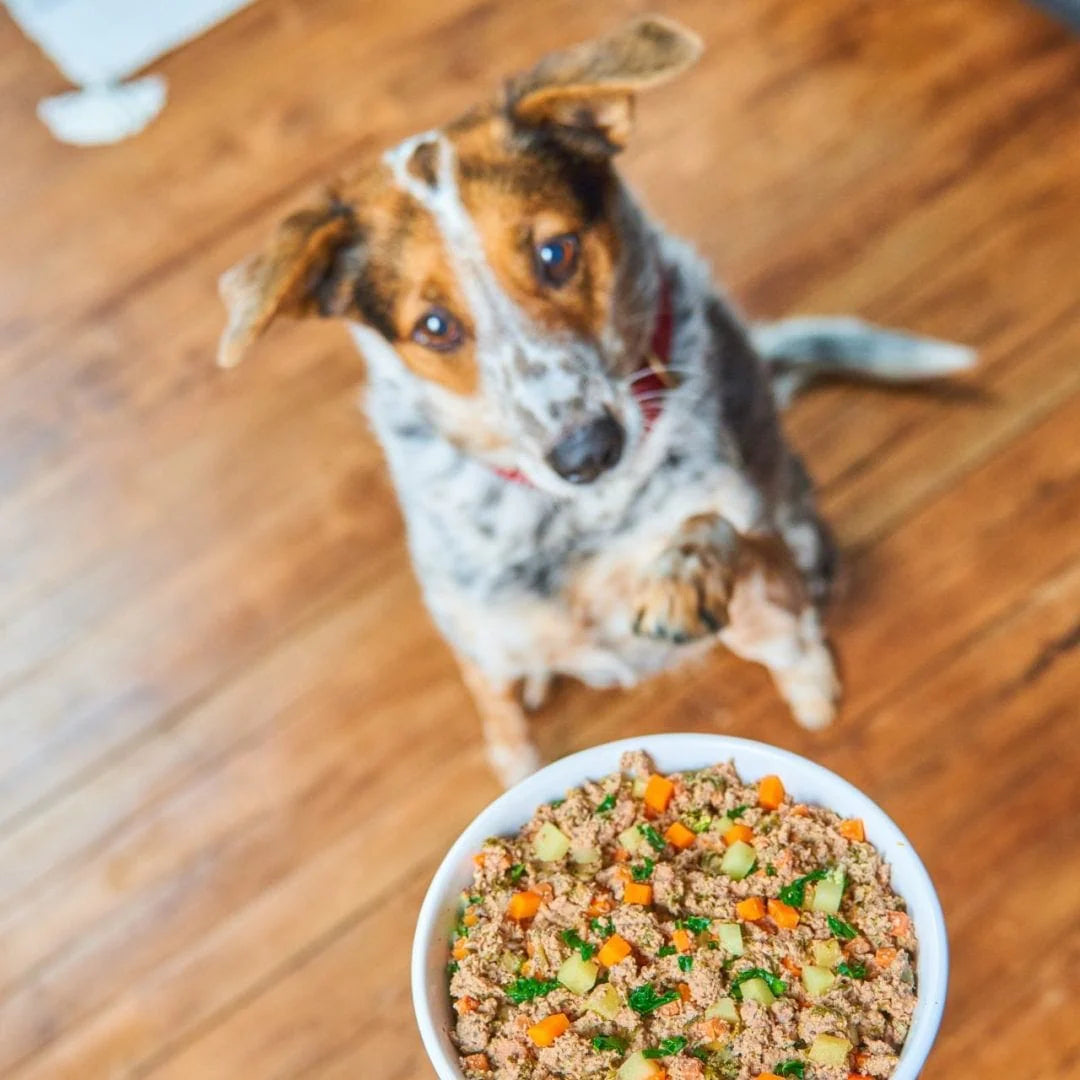 Stella & Chewy's Freshmade Wholesome Grains Beef/Turkey Gently Cooked Dog Food 16oz-Four Muddy Paws