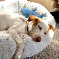 Tall Tails Dog Cat Cuddle Frosted Bed Large-Four Muddy Paws