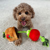 Territory Dog Treat Tug Tomato Toy 15"-Four Muddy Paws
