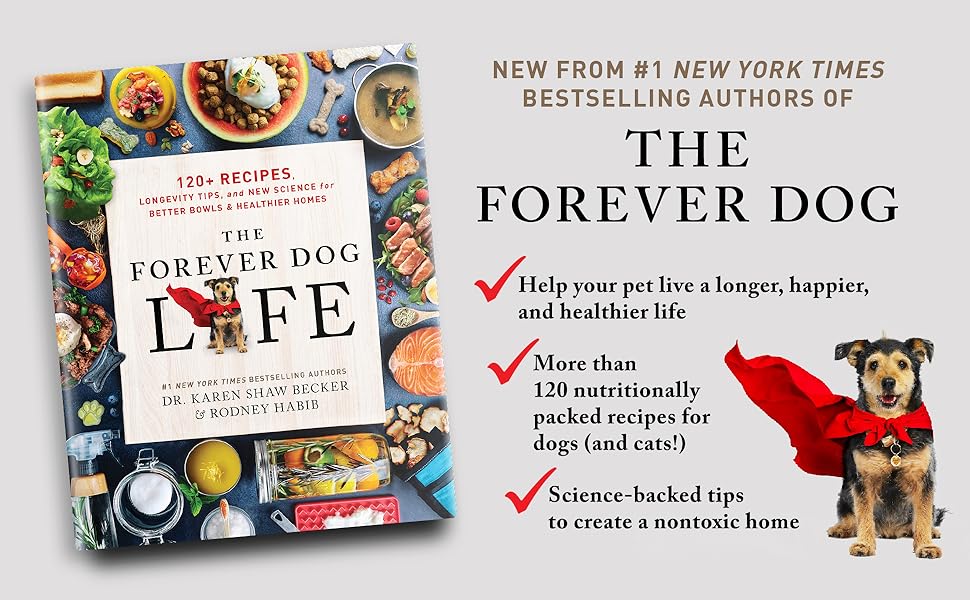 The Forever Dog Life Book-Four Muddy Paws