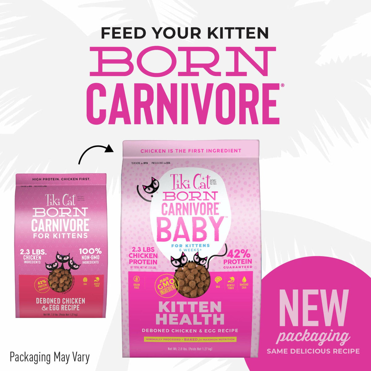 Tiki Cat Born Carnivore Kitten Chicken & Eggs Food 2.8lbs-Four Muddy Paws