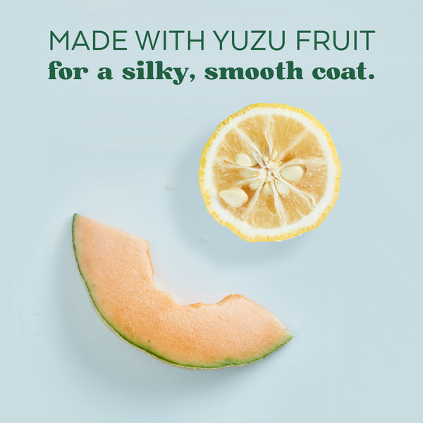 Tropiclean Essentials Yuzu Dog Deodorizing Spray 8oz-Four Muddy Paws