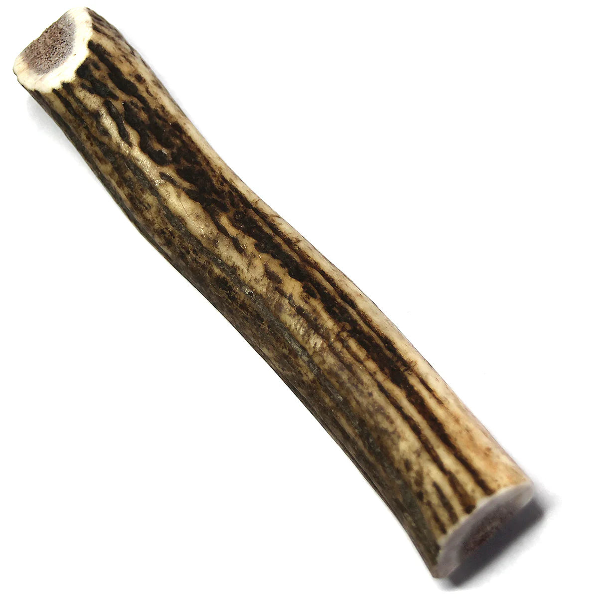 Tuesday's Royal Brown Deer Antler Small Split-Four Muddy Paws