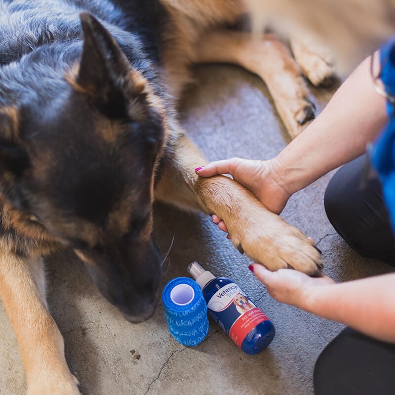 Vetericyn HydroGel Spray 3oz-Four Muddy Paws