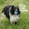 West Paw Boundr Ball Dandelion L-Four Muddy Paws