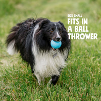 West Paw Boundr Ball Dandelion L-Four Muddy Paws
