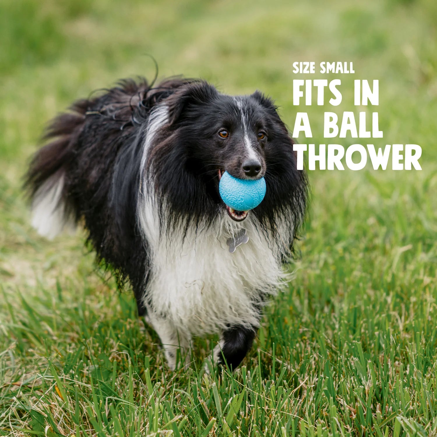 West Paw Boundr Ball Dandelion L-Four Muddy Paws