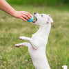 West Paw Boundr Ball Glow L-Four Muddy Paws