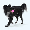 West Paw Boundr Ball Glow L-Four Muddy Paws