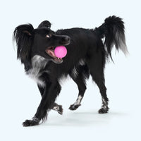West Paw Boundr Ball Glow L-Four Muddy Paws