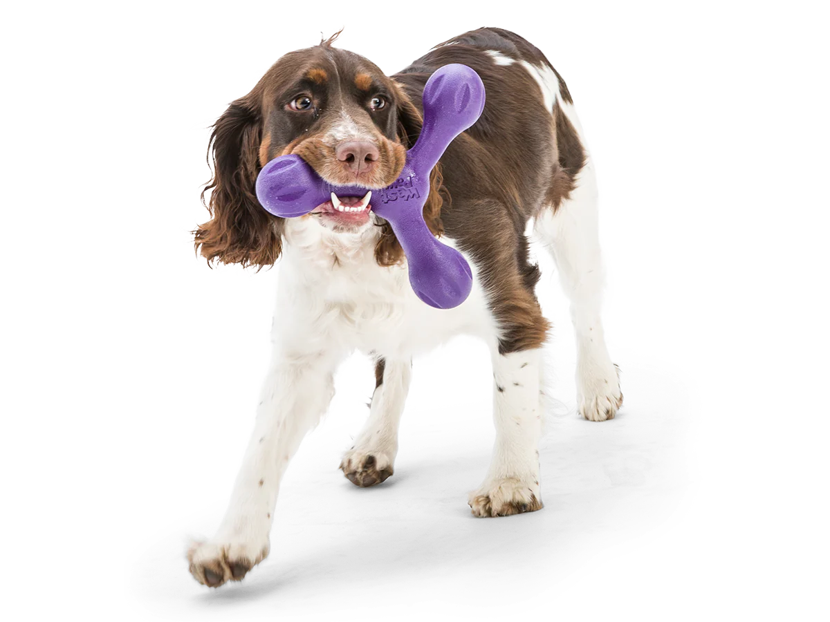 West Paw Skamp Dog Toy Aqua Blue-Four Muddy Paws