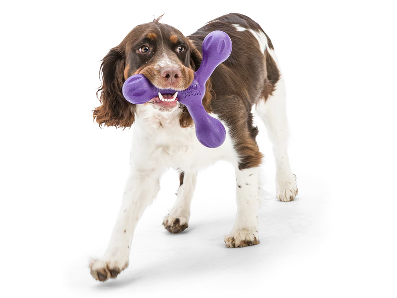 West Paw Skamp Dog Toy Aqua Blue-Four Muddy Paws