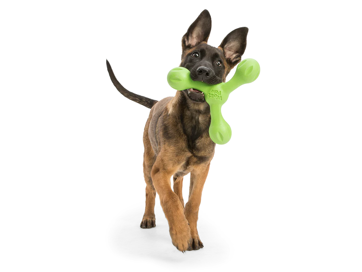 West Paw Skamp Dog Toy Aqua Blue-Four Muddy Paws