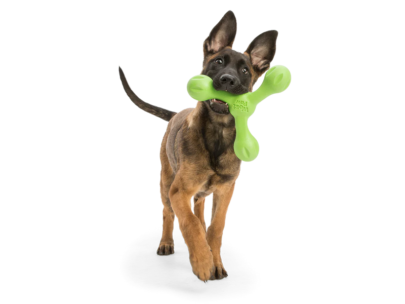 West Paw Skamp Dog Toy Aqua Blue-Four Muddy Paws