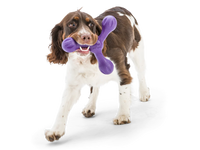 West Paw Skamp Dog Toy Dandelion-Four Muddy Paws