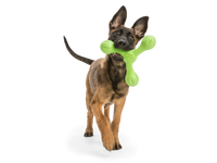 West Paw Skamp Dog Toy Dandelion-Four Muddy Paws