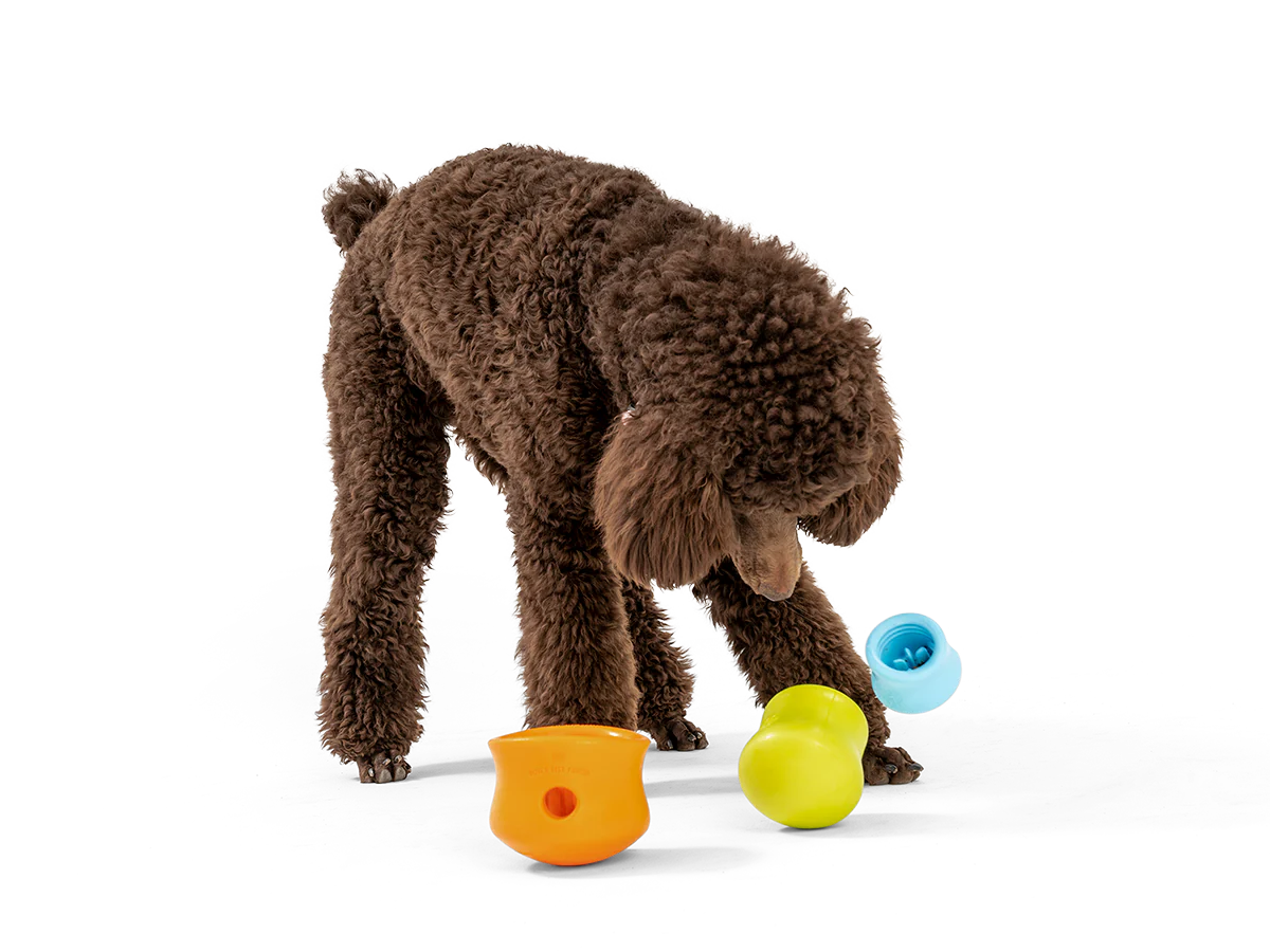 West Paw Toppl Zogo Flex Dog Toy Black L-Four Muddy Paws