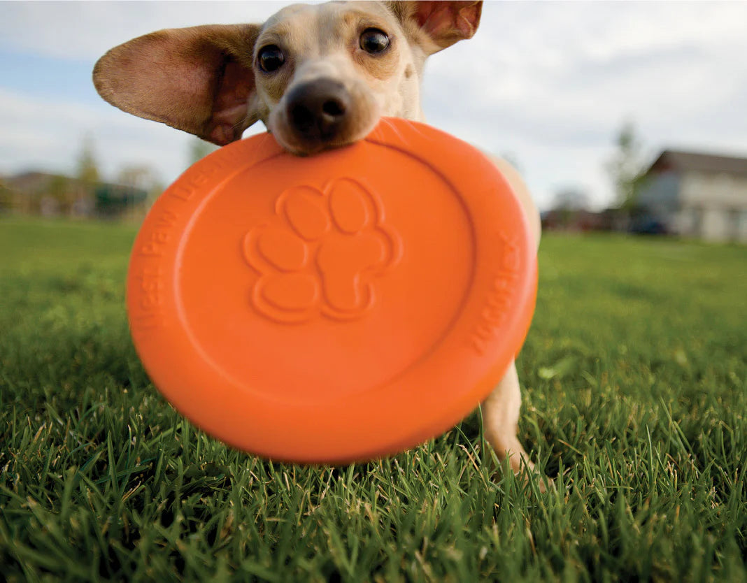 West Paw Zisc Dog Toy Ruby Red L-Four Muddy Paws