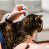 Wondercide Flea & Tick Spot On for Cats Peppermint-Four Muddy Paws