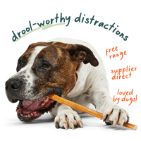 Woof Bullysafe Pure Collagen Dog Chews 12" 10pk-Four Muddy Paws