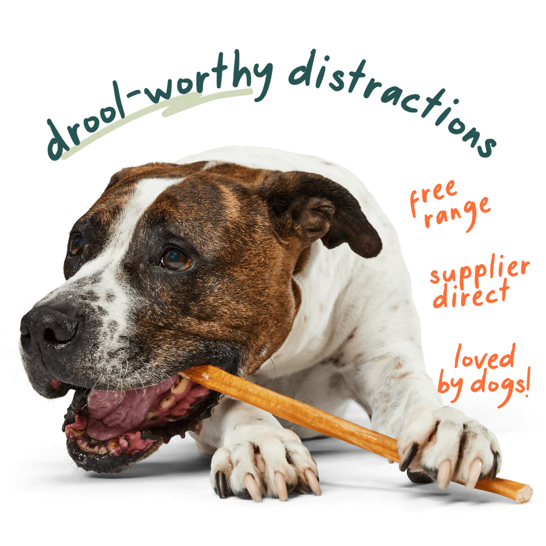 Woof Bullysafe Pure Collagen Dog Chews 12" 10pk-Four Muddy Paws