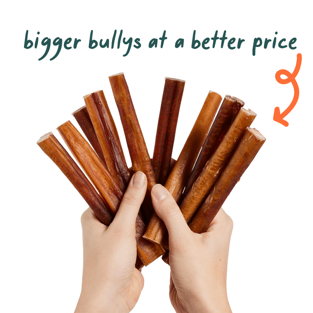 Woof Bullysafe Pure Collagen Dog Chews 12" 5pk-Four Muddy Paws