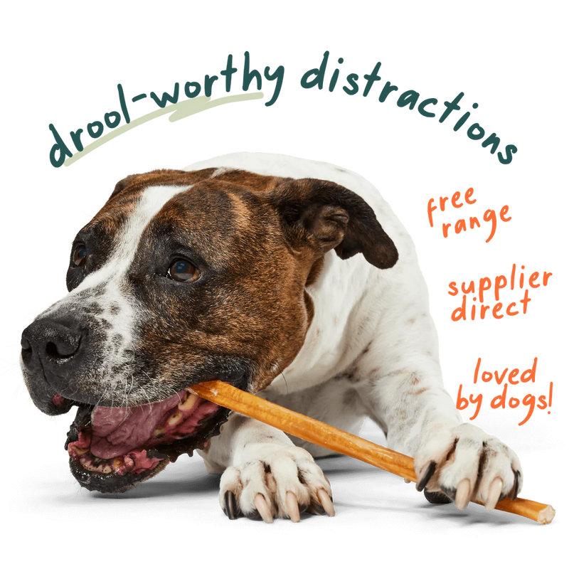 Woof Bullysafe Pure Collagen Dog Chews 6" 5pk-Four Muddy Paws