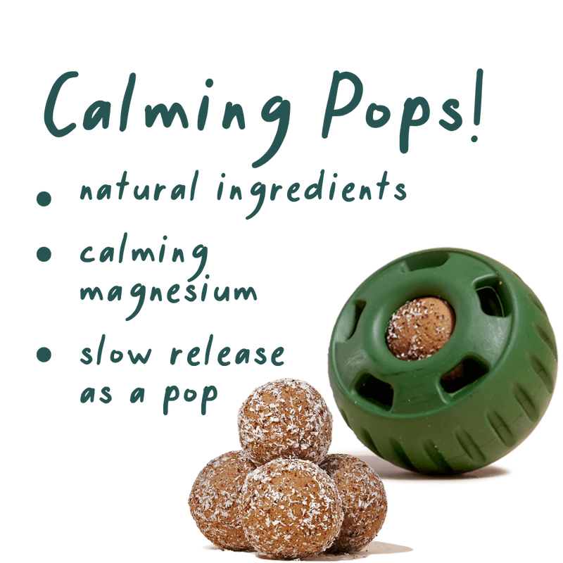 Woof Pupsicle Calming Wellness Pops Large-Four Muddy Paws