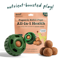 Woof Pupsicle Refill Pops All in 1 Dog Treats Large-Four Muddy Paws