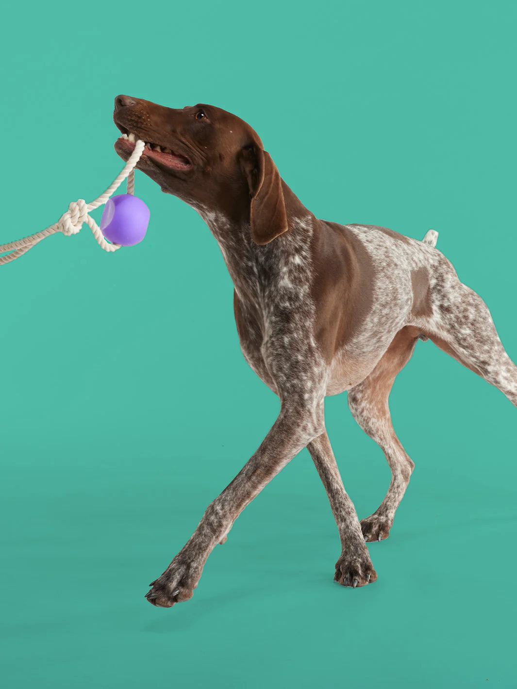 Yomp BallRope Dog Toy-Four Muddy Paws