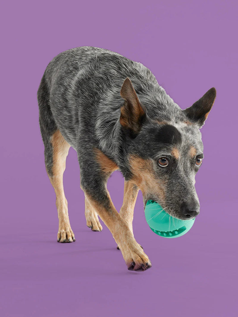 Yomp Snackin' Ball Dog Toy-Four Muddy Paws