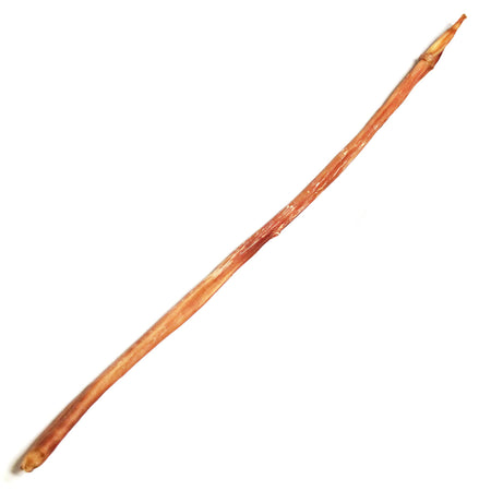 12" Standard Braided Bully Stick
