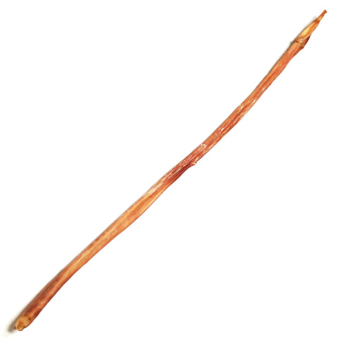 28" Full Cane Bully Stick Odor Free-Four Muddy Paws