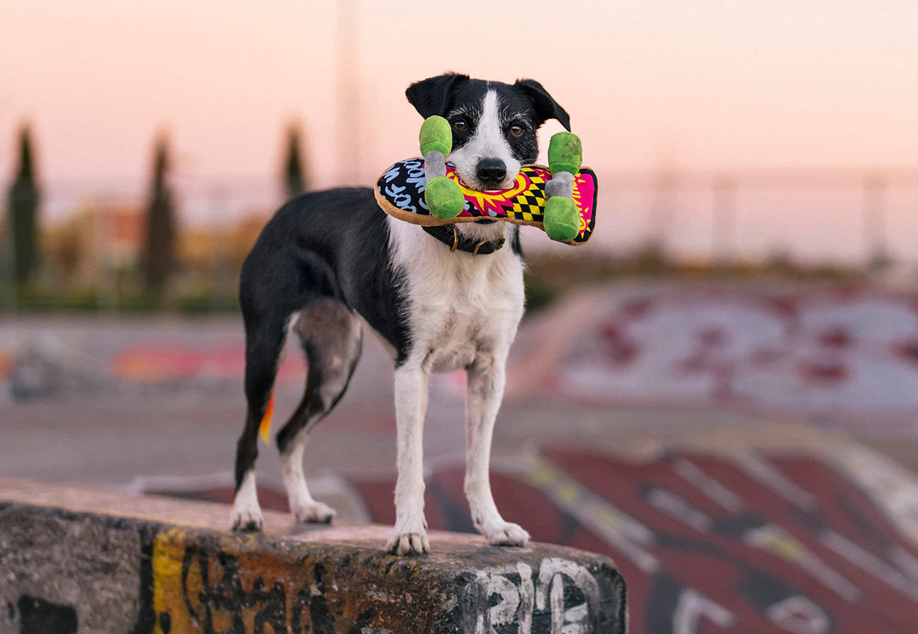 90s Classics Skate Board Dog Toy-Four Muddy Paws