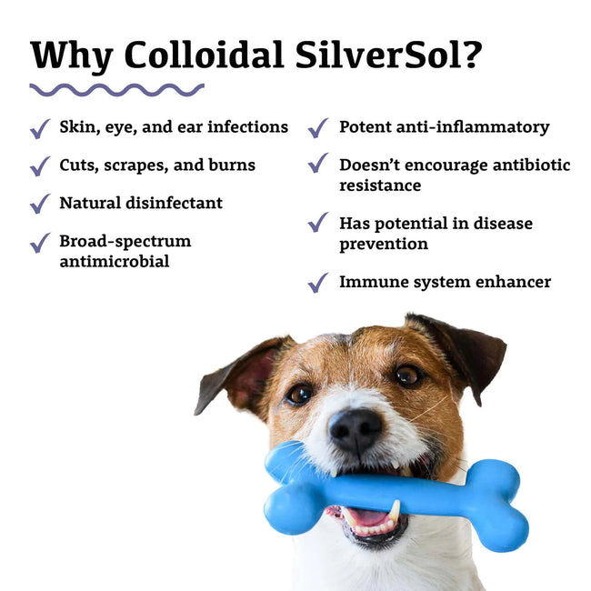 Adored Beast Colloidal Silversol 60ml-Four Muddy Paws
