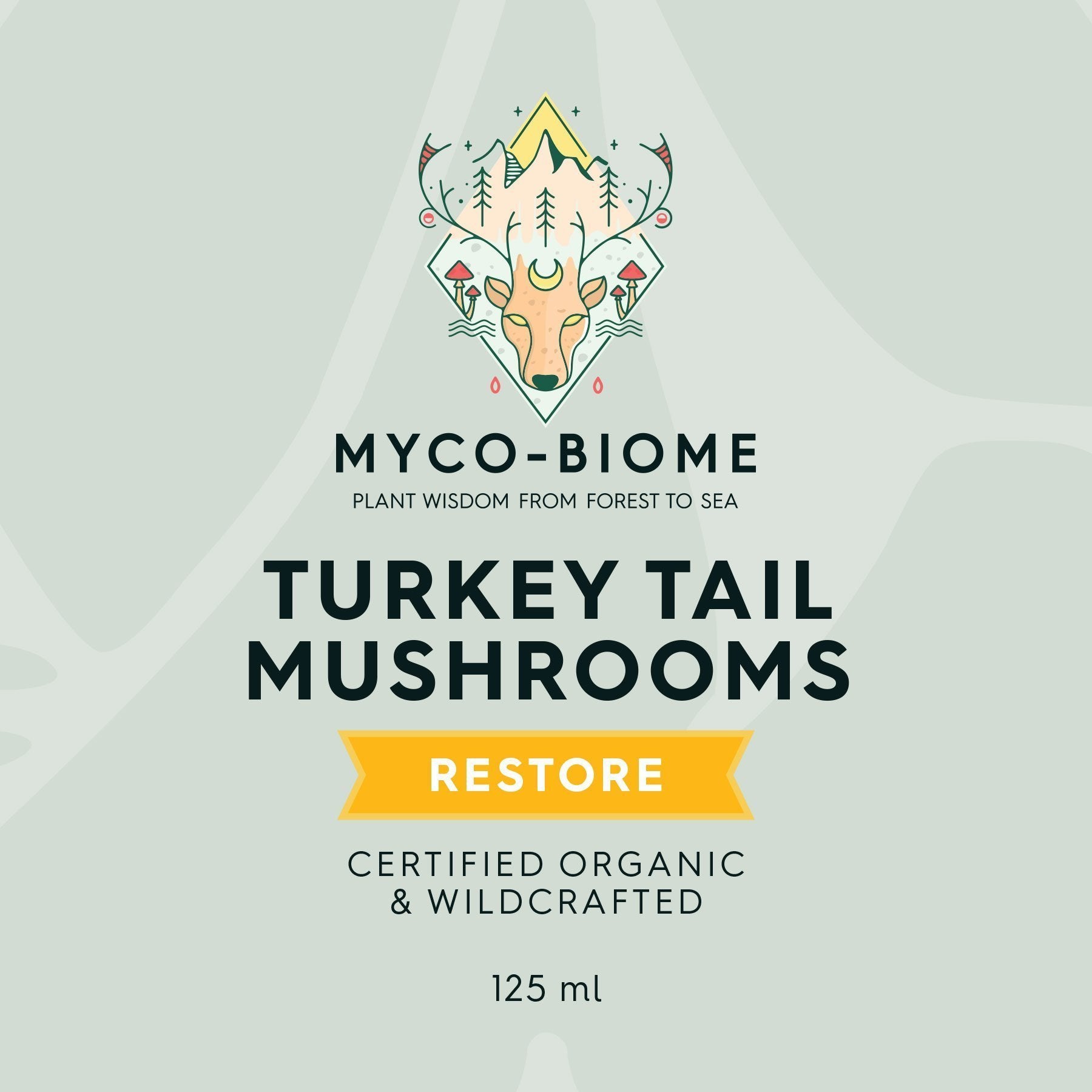 Adored Beast Turkey Tail Mushrooms Tincture 125ml-Four Muddy Paws