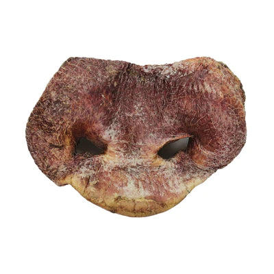 Bones and Co Dog Freeze Dried Pig Snout-Four Muddy Paws