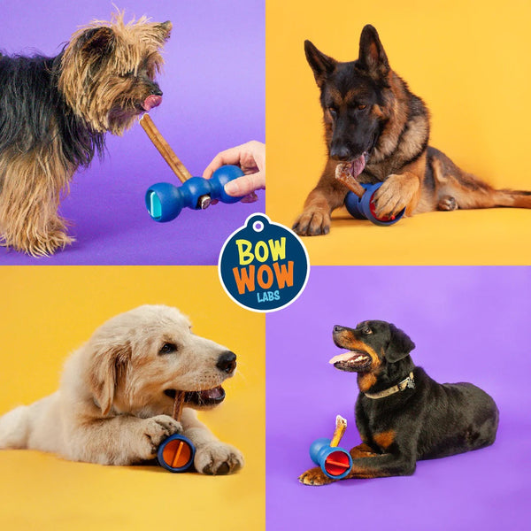 Bow Wow Buddy Medium/Purple-Four Muddy Paws