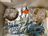 CAT BIRTHDAY CAKE-Four Muddy Paws